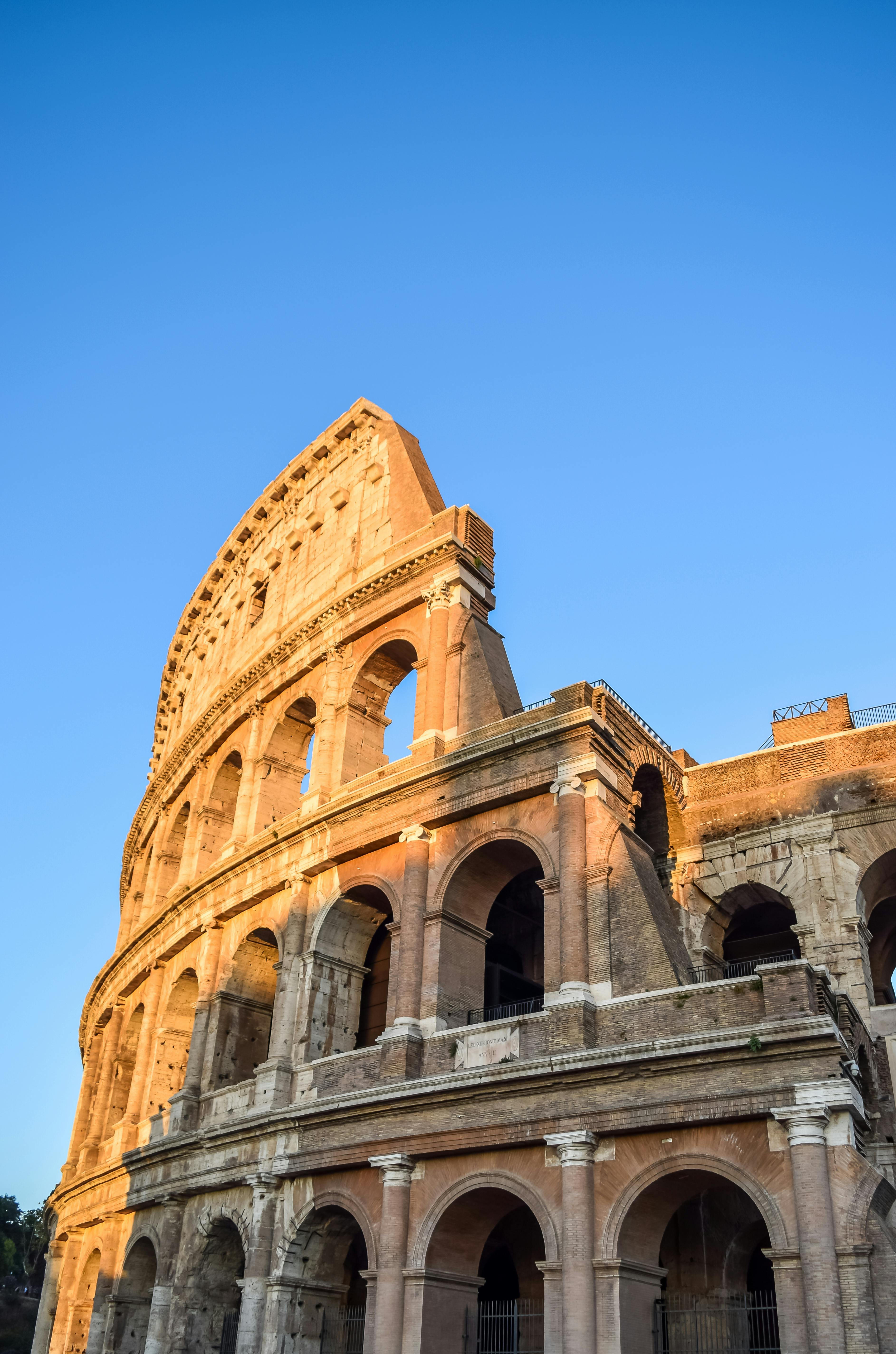 An image of roma