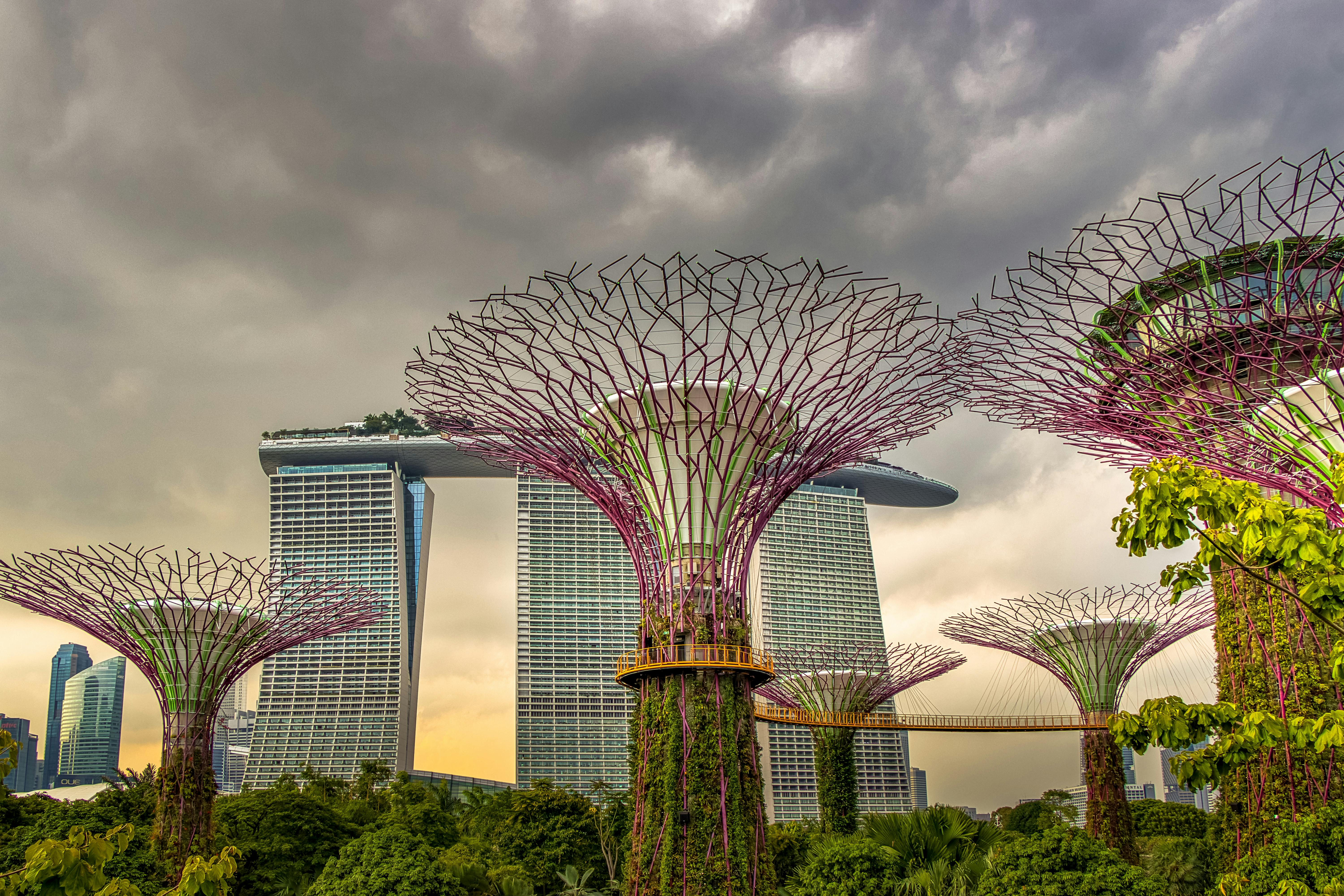 An image of Singapura.